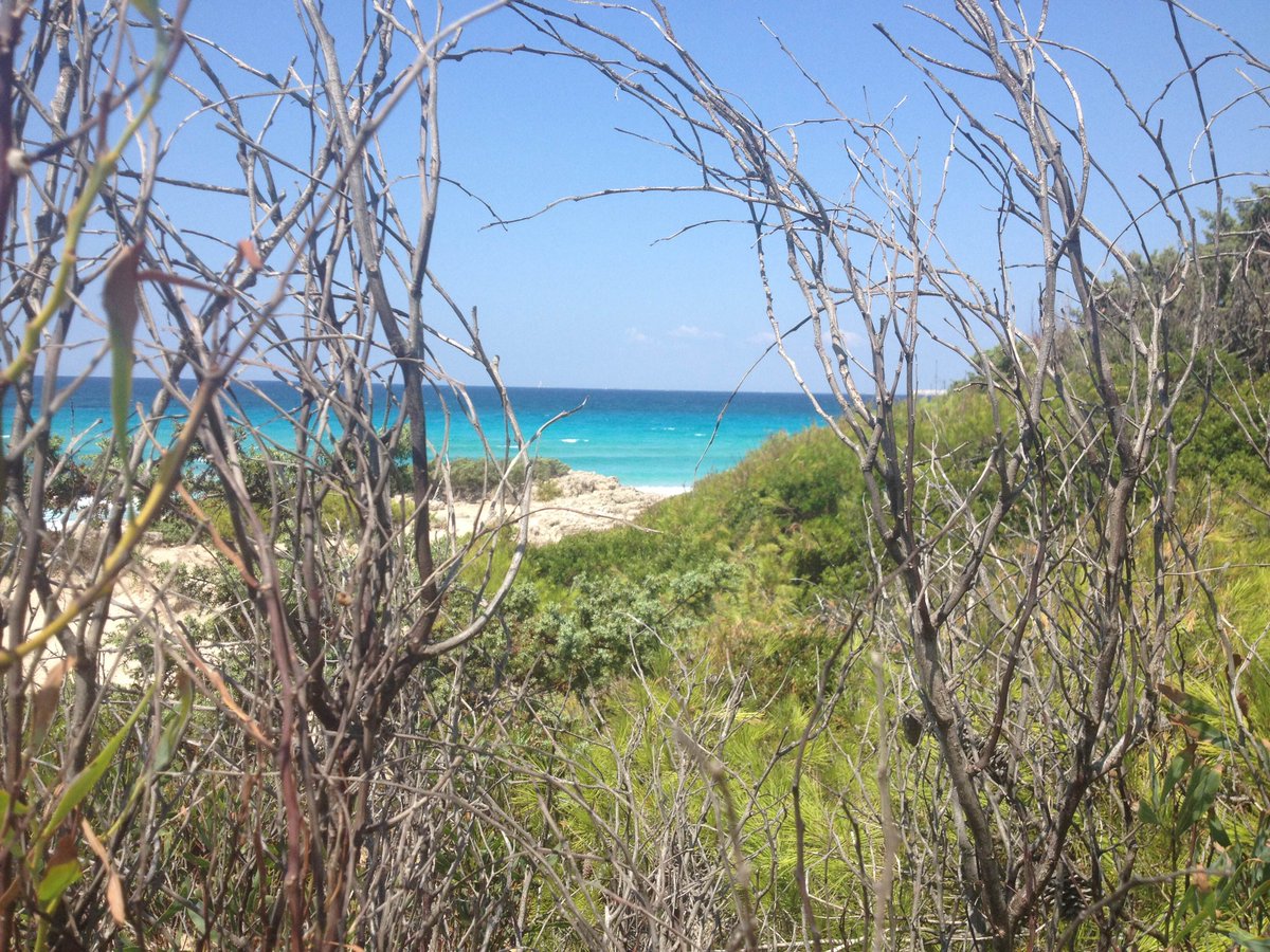 #ritornando indietro di qualche gg,i miei consigli in #salento QUI mypunkbox.blogspot.it <a href="/turistipercaso/">Turisti per Caso</a> <a href="/Absensum/">abSensum</a>