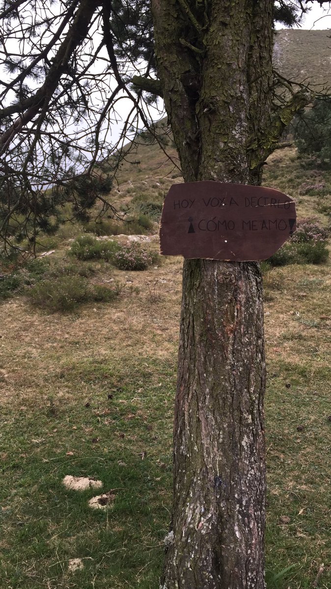 Indiespacio's tweet photo. "Hoy voy a decirlo, ¡cómo me amo!" ⛰ https://t.co/s6TMgXbOjv