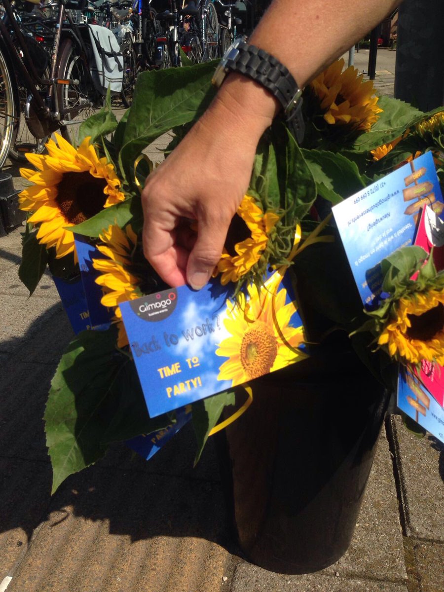 Ons team <a href="/GimagoEvents/">Gimago Events</a> is op pad! Back to work! Time to Party! #sales #actie #BLOOM #partytime #roadshow