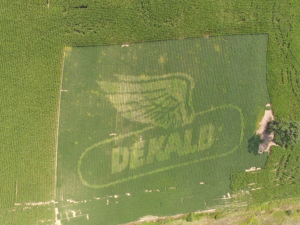Standing out in a crowd has never felt so good. DEKALB XTEND soybeans. Raising the bar <a href="/DEKALB_Canada/">DEKALB Canada</a> #wingwed