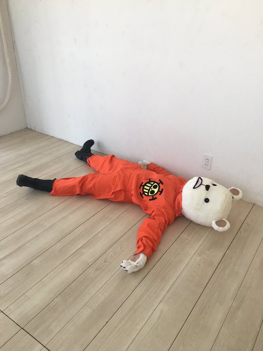 ワンピース ベポの人物像や海賊になった理由を調査 ゼポやローとの関係は Selvy