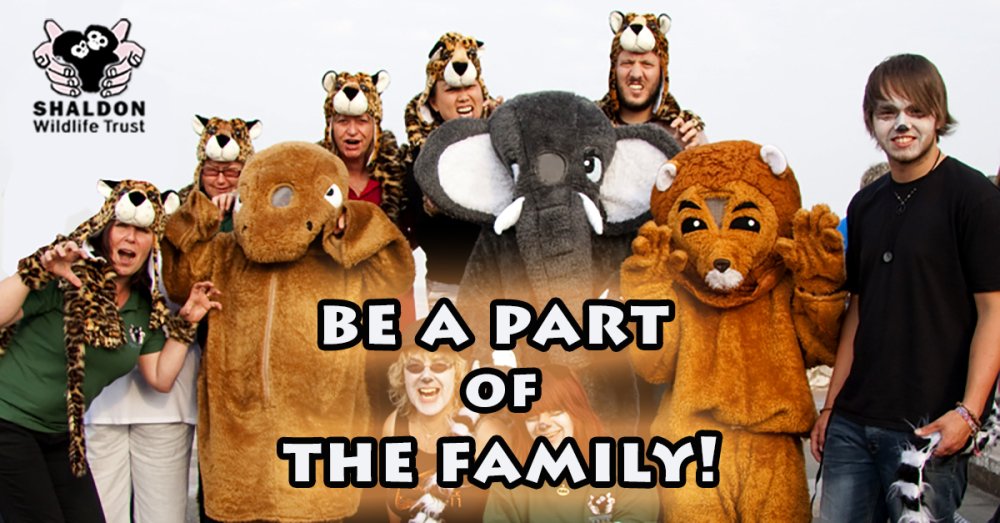 Join the family with our exciting membership scheme. Sign up now for amazing offers bit.ly/ShaldonZooMS #Devon