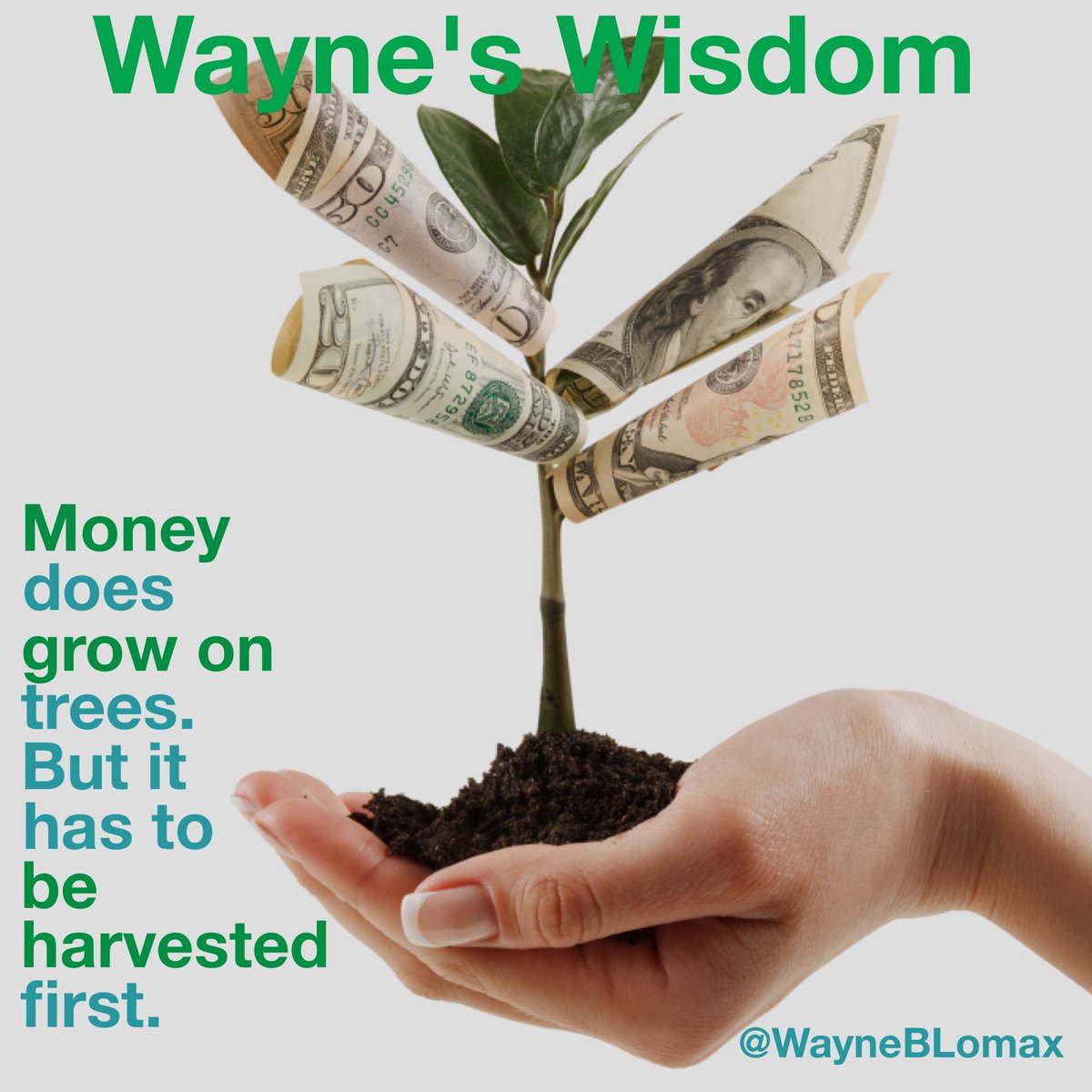 WayneBLomax's tweet photo. Wayne's Wisdom
Money does grow on trees. But it has to be harvested first.
#WaynesWisdom
#Leadership
@tfonl https://t.co/geXj6G1lgR