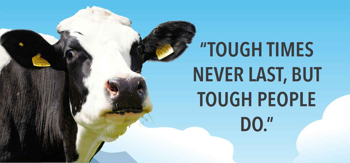 NemiDairy's tweet photo. The #WiseCow tweets!
Just a bit of cowculated mootivation! ๐ฎ
You're welcome! ๐
#WednesdayWisdom #Procowstination https://t.co/yvjLY5J96Z