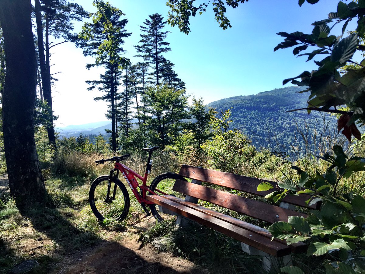 Back on the bike!  <a href="/TrekBikes/">Trek Bicycle</a>