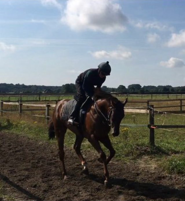 pigletracing's tweet photo. Few shots from the gallops at Declan's. The gaffa looking for a nice steady race on the AW https://t.co/1IKDi6iNPH