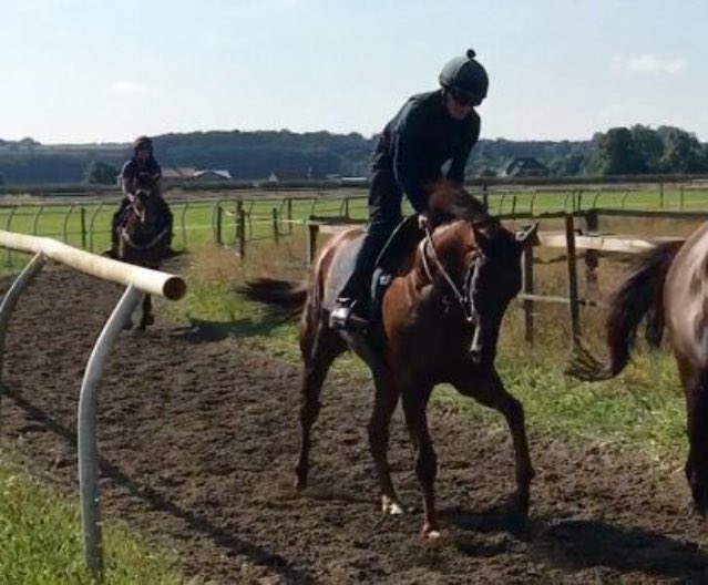pigletracing's tweet photo. Few shots from the gallops at Declan's. The gaffa looking for a nice steady race on the AW https://t.co/1IKDi6iNPH
