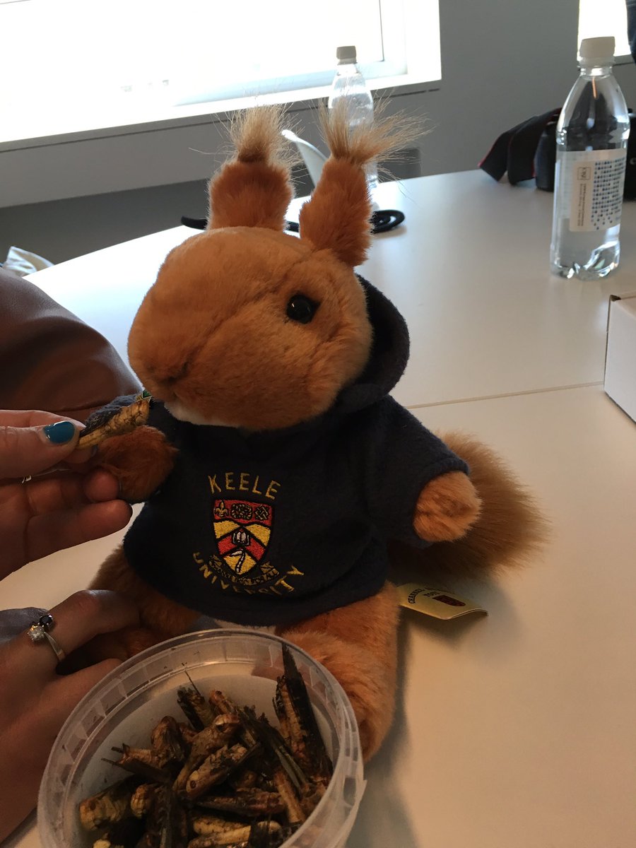 LAWheduc's tweet photo. MAC (Keele squirrel) @KeeleUniversity takes the @HarperAdamsUni bug challenge #case16 #haubugface https://t.co/QWmoz5pIKT