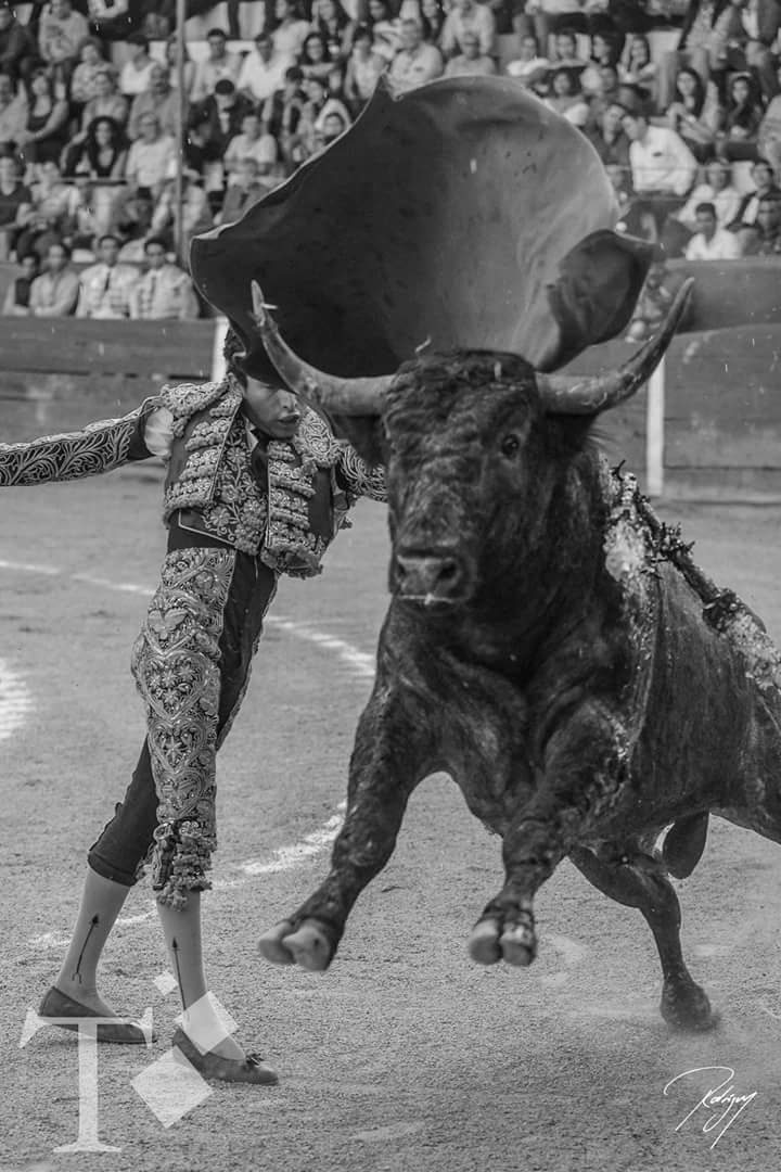 Nadie me corta mi sueño.

#RodolfoMejia #ElTuco #JesúsMaría 

Foto: Torerias / Mario Rodríguez