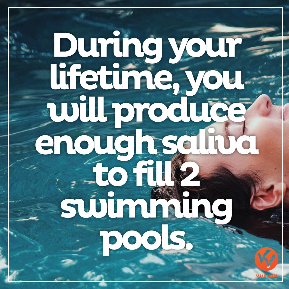 VuewinApp's tweet photo. Gaano pa kaya kadami yung sayo? Tara! Vuewin! 💦💧👅✨😤 #Vuewin #FunFacts https://t.co/KlOrtsE78A