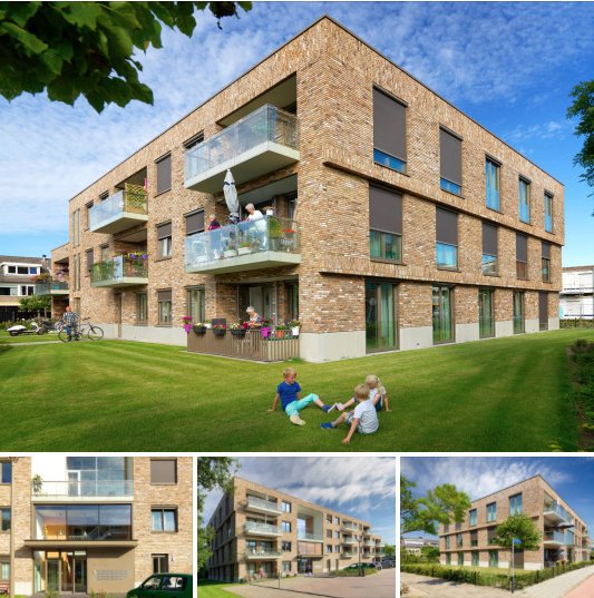 Mooie fotoserie door <a href="/studioroyalenl/">Steven Bemelman</a> Steven Bemelman van Puyckendam in @Noordwijkerhout      linkedin.com/hp/update/6174…