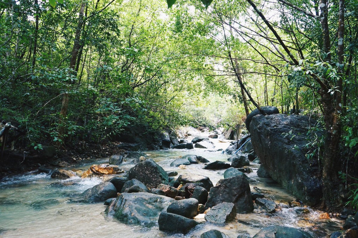 Matbeet's tweet photo. บ่อน้ำร้อนพรรั้ง ระนอง ! 

#ระนอง
#reviewranong
#ReviewThailand https://t.co/R6vh3dFQxr