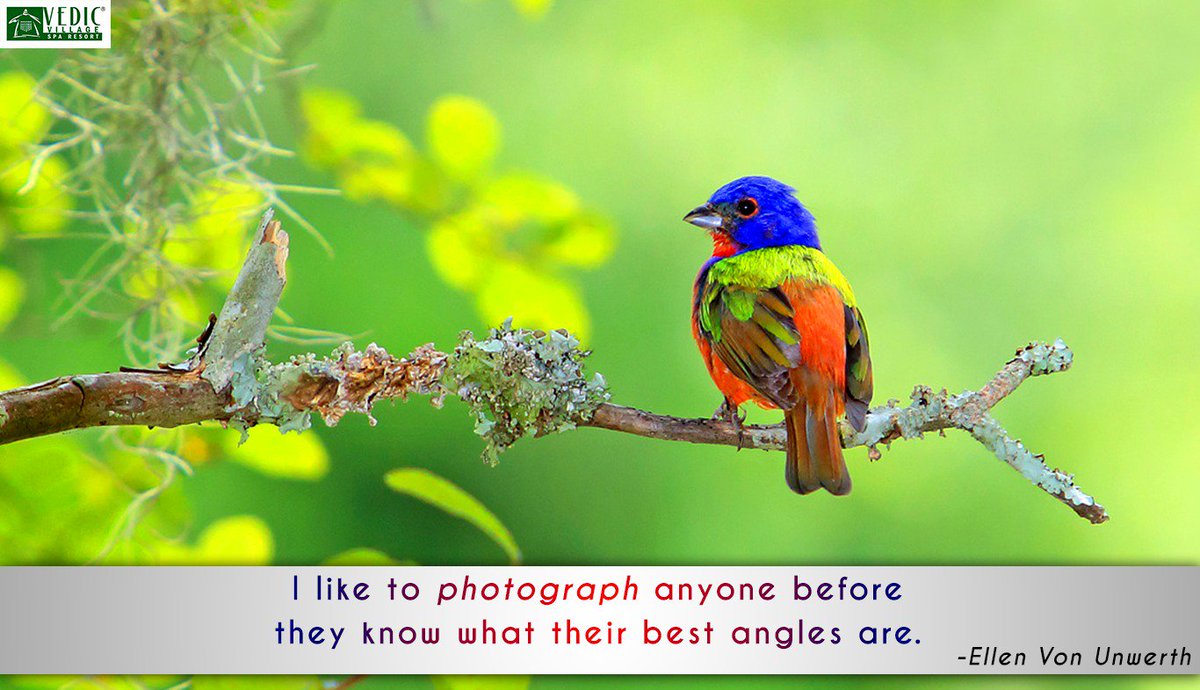 Take a perfect picture of the scenic beauty of #VedicVillage and get a chance to win the grand prize of the season