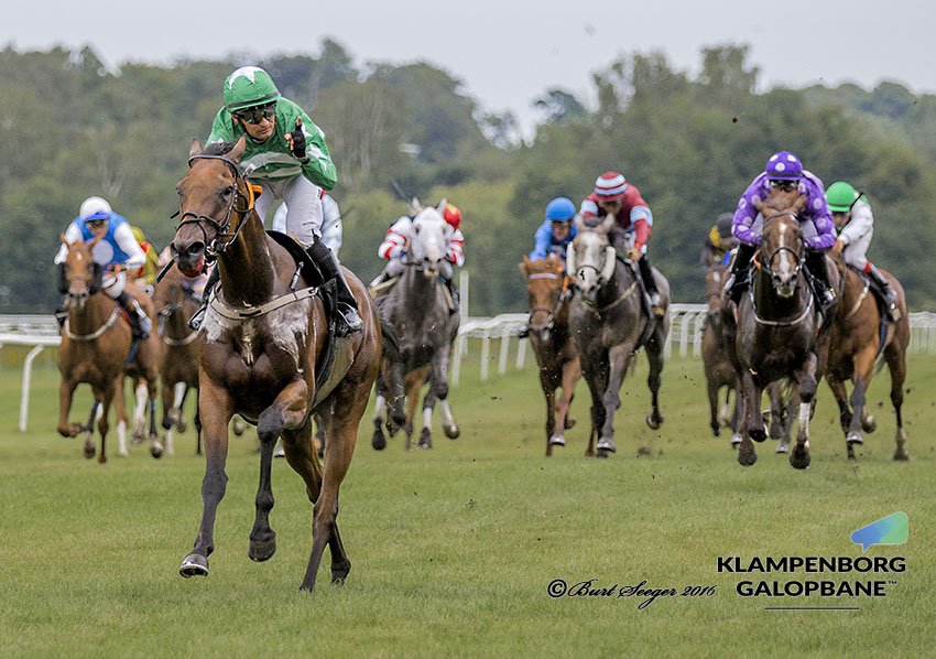 Suspicious Mind easy winner of Danish derby 2016

Photo: Burt Seeger © 2016