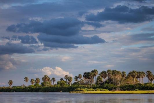 CharlotteOpp's tweet photo. MT @silverless: Morning light on the Rufiji River #selous - this landscape sums up the Africa in my mind https://t.co/1oxKOsTfU2