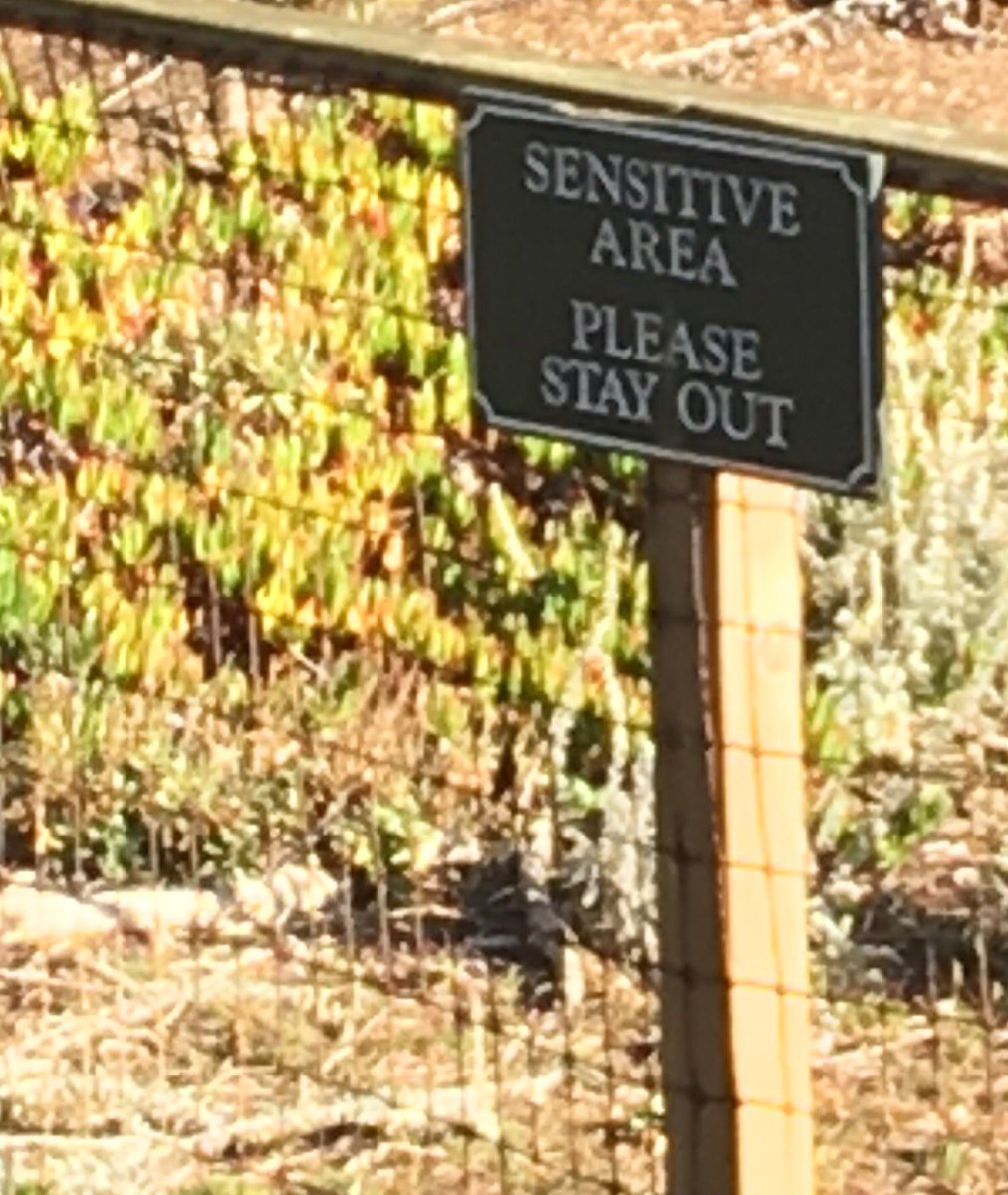 Conversations about loss can feel like this sometimes