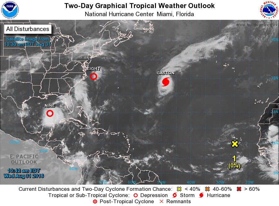 LegacyHomeBuild's tweet image. Standard Impact Resistant windows offer all of our residents some peace of mind with the looming storm season!