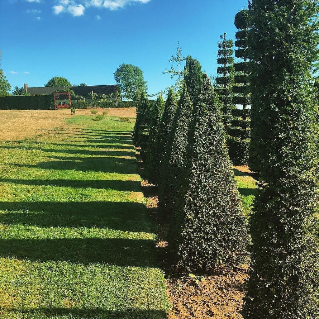 eyrignac's tweet photo. Ombres de topiaires #topiarytree #topia #eyrignac #soleil#dordogne #igersdordogneperigord #igersperigueux #jadorep… https://t.co/uXbyIURQxy