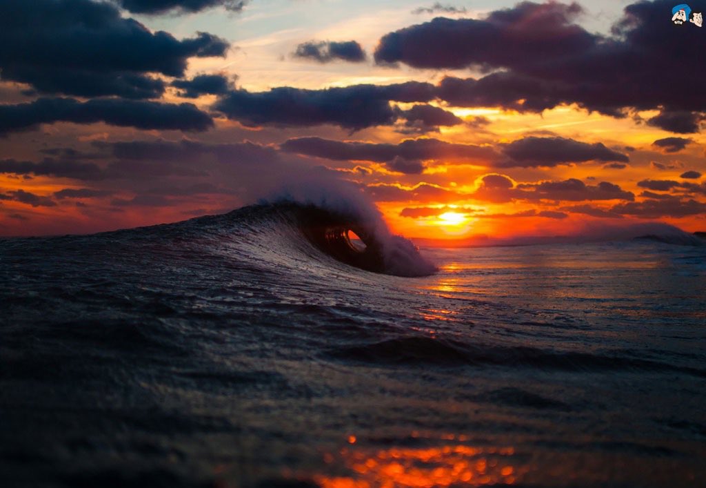 MSResearchGroup's tweet image. Overwhelmed by the outpour of interest in our Paid Microsoft Photo Study!