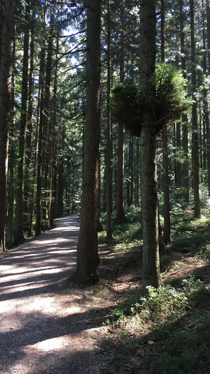 Bergnarrisch's tweet photo. Man kann auch von #München mit dem #Radl zum #Bergwandern fahren. :-)
#Taubenberg #Wasserturm https://t.co/8bg4SP2O7O
