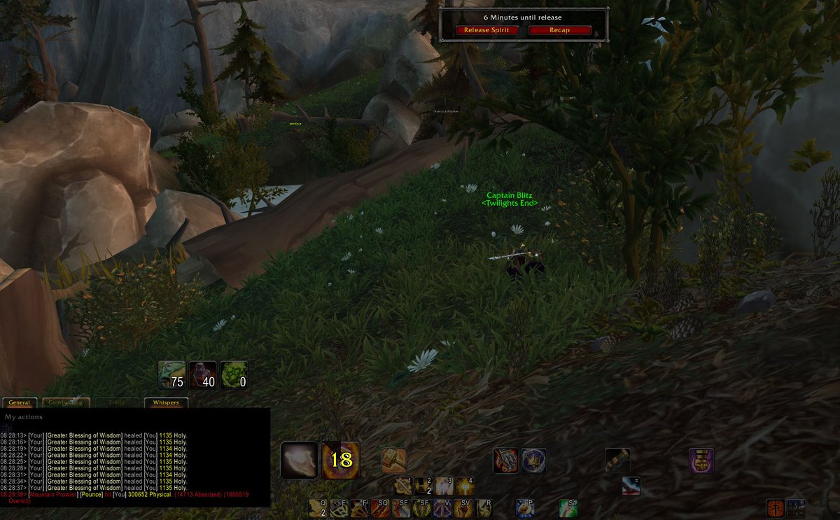 Cup_of_Blitz's tweet photo. #worldofwarcraft
#thanksblizz
#workingasintended https://t.co/OdOyjFk6Ji