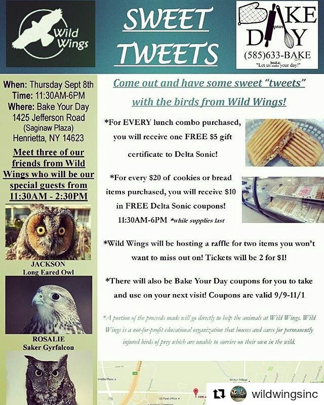 BakeYourDayinfo's tweet photo. #september2016 #sweettweets #roc #bakery #wildwingsinc #event #thursday #lunch #support #local #birdsofprey #owl https://t.co/ZDeTWl2oUy