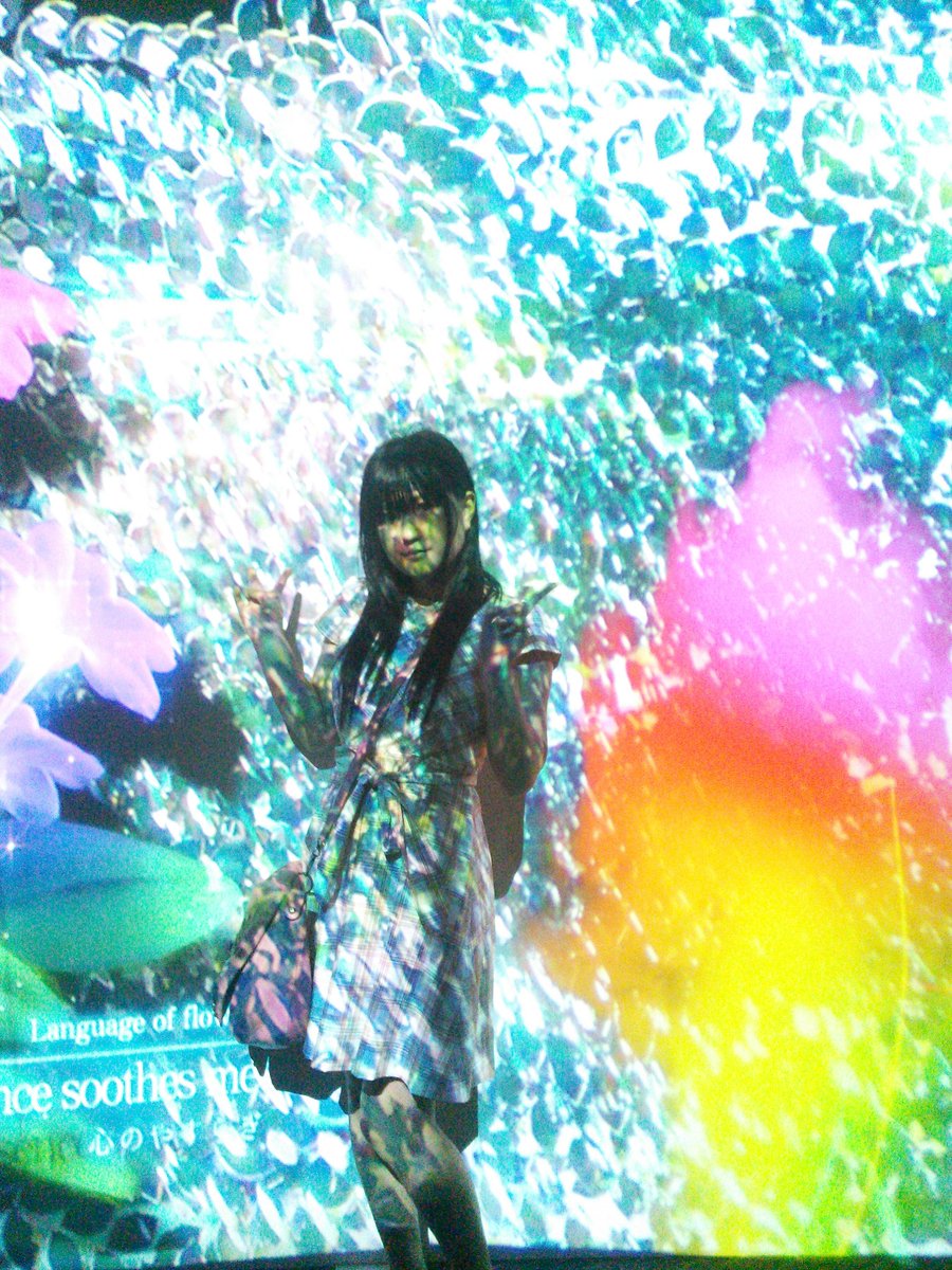 mirai030901's tweet photo. flowers最終日観に行ってきたよん♡♡♡
幻想的でした(*゚ロ゚)♡♡♡もー一回みにいきたい×2
♡キレイすぎた♡
#向日葵
#flowers2016 https://t.co/2IbbmiVdCp