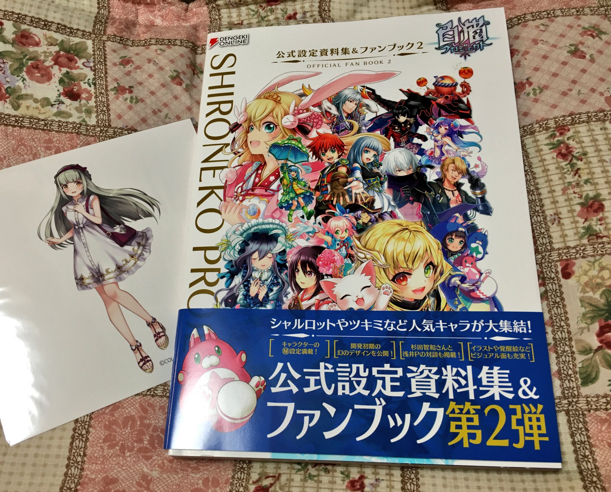تويتر マジョノカ渚 على تويتر 白猫プロジェクト公式設定資料集 ファンブック届きました W 各キャラの紹介からイベント島の世界設定 杉田さんやダグ2メンバー等の対談もあり楽しめました 個人的にはウォルター初期案の短髪眼鏡に激しく心奪われました