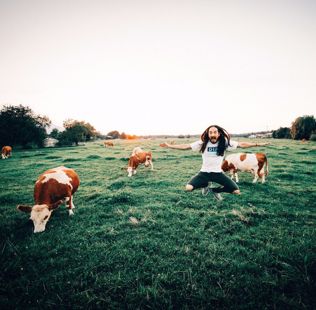 #aokijump #721. The German Farmland 🐄 Jump. Ubersee Germany. August 27, 2016. https://t.co/n1JEa3ccXA