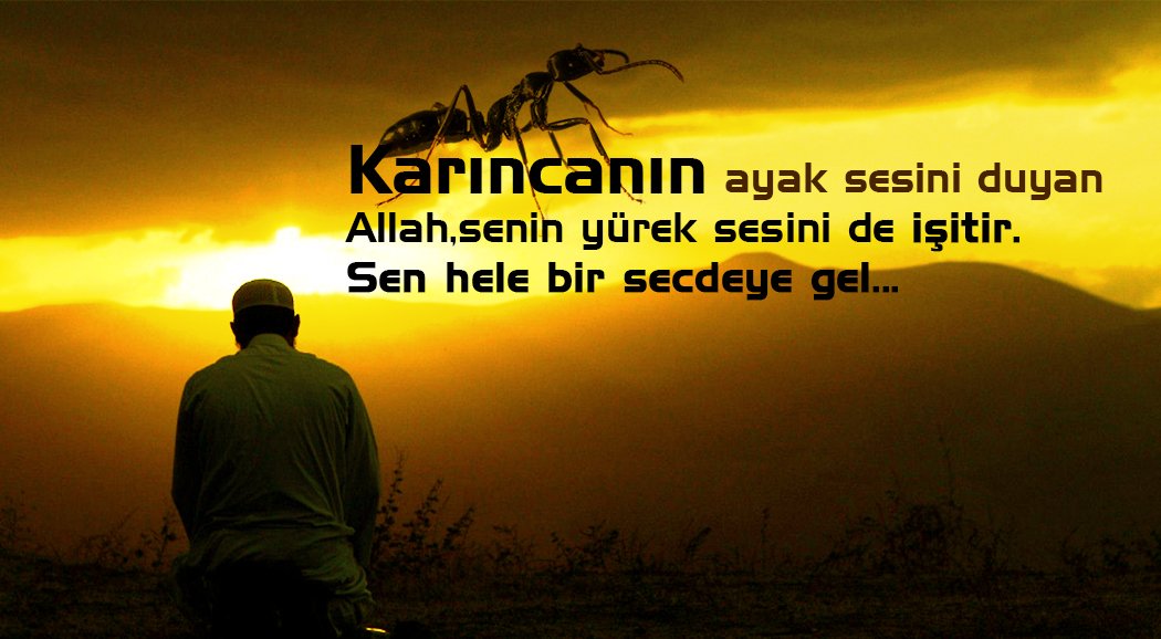 #ÇokSevdim
Karıncanın ayak sesini duyan 
Allah, senin yürek sesini de işitir. 
Sen hele bir secdeye gel...
