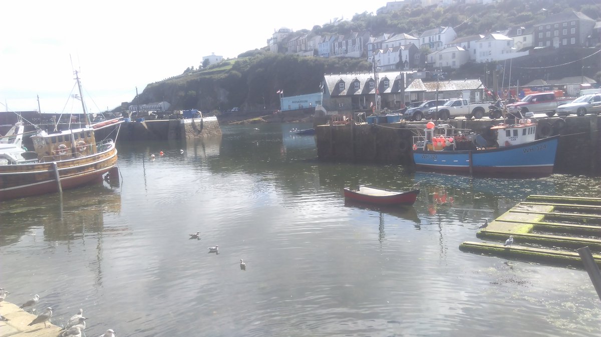 seafishuk's tweet image. Gorgeous afternoon at Mevagissey Harbour for researcher Robbie #FleetSurvey #QuayIssues