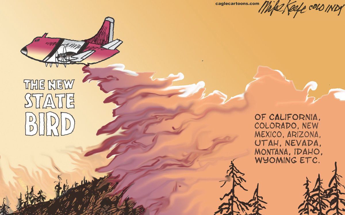 TheTRCP's tweet image. Wildfires burn up national forest budget. We need a #firefix - soon. billingsgazette.com/news/opinion/e… @USForestService