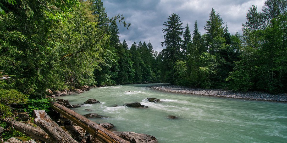 American Rivers tweet media