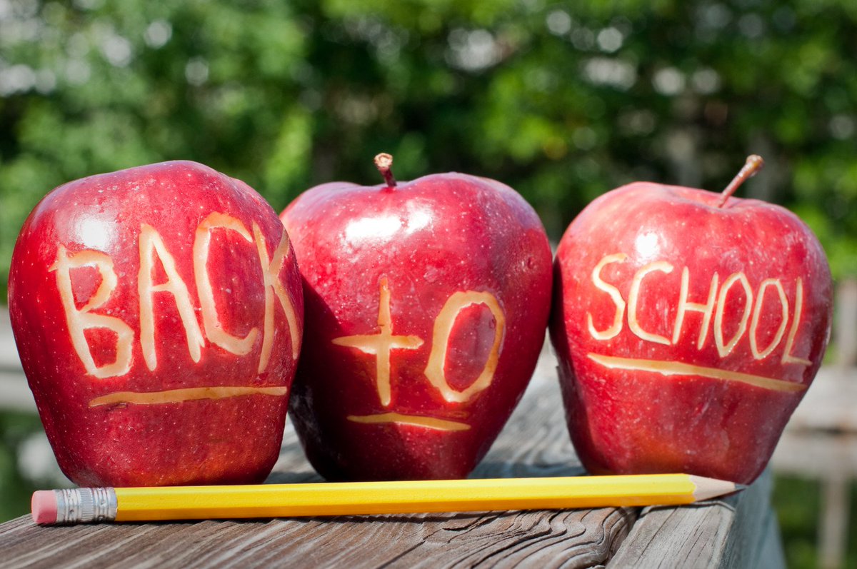 idohomework_net's tweet photo. Coming #back to #school without pain - https://t.co/FknLrTRUzG! https://t.co/XHpVs96ief