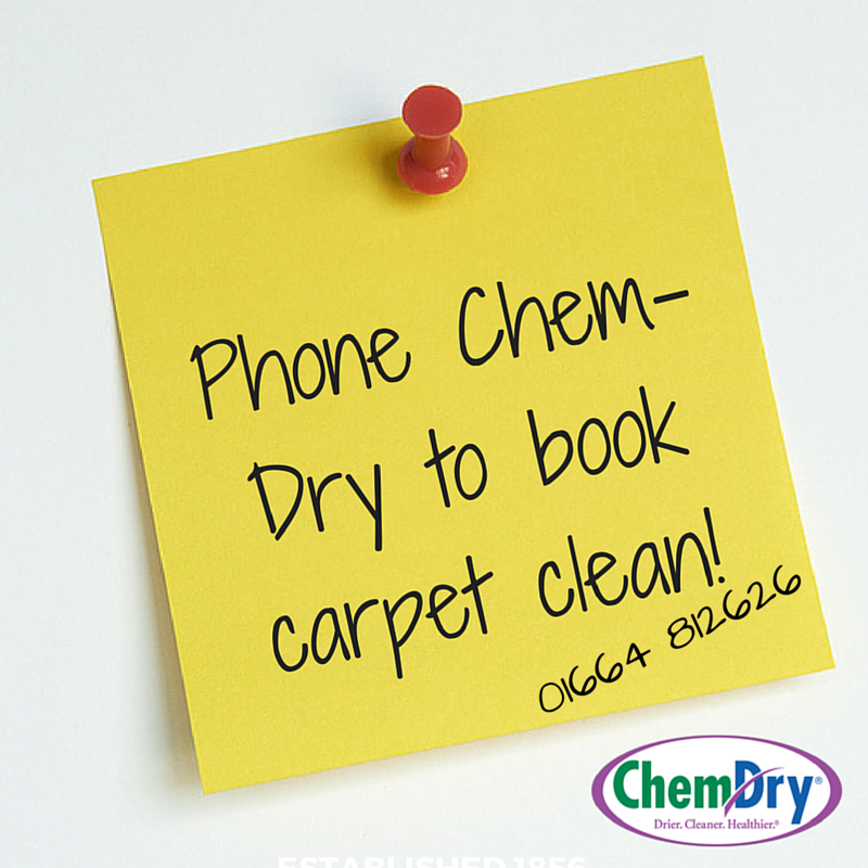 AandGChemDry's tweet photo. Great news!!
https://t.co/woswbNiPIc
#FoundUs #CarpetCleaningMeltonMowbray https://t.co/Pe7smxYE3v
