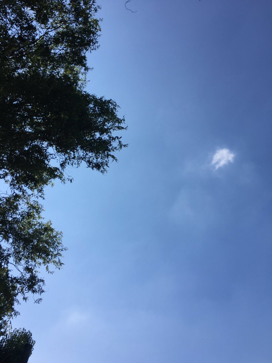 Lets hope for the beste we have the same weather during @intothewoodsNL !!! Soo excited 🙌🏼🙌🏼🙌🏼