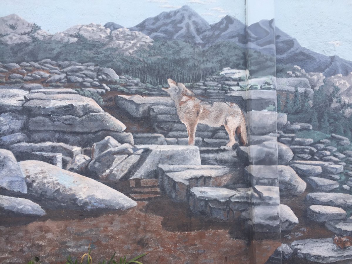 tipsytea's tweet image. Leaving Arcata after the sweetest #tourmagic hosts. #blackburnranger2016