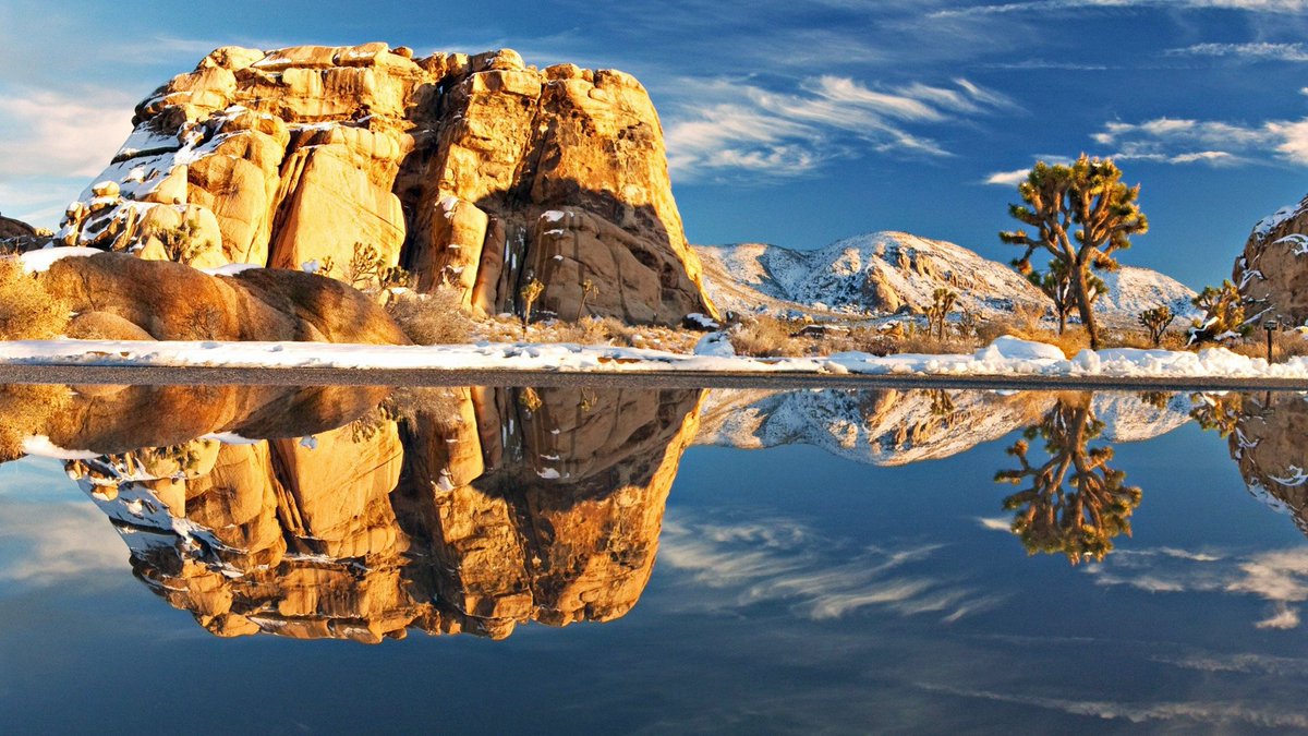 SafeFleet's tweet photo. A polish is taking over America! #joshuatreenp #california #realtimetrajectory https://t.co/2RLjUZNbnB