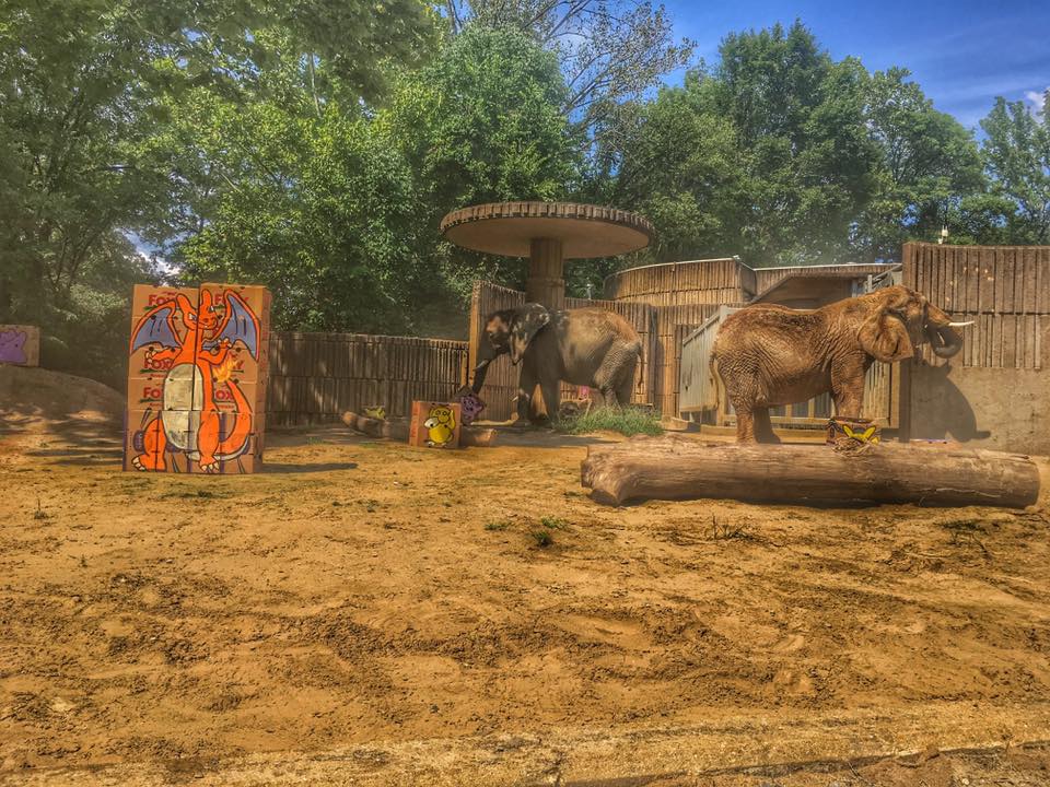 MemphisZoo tweet picture