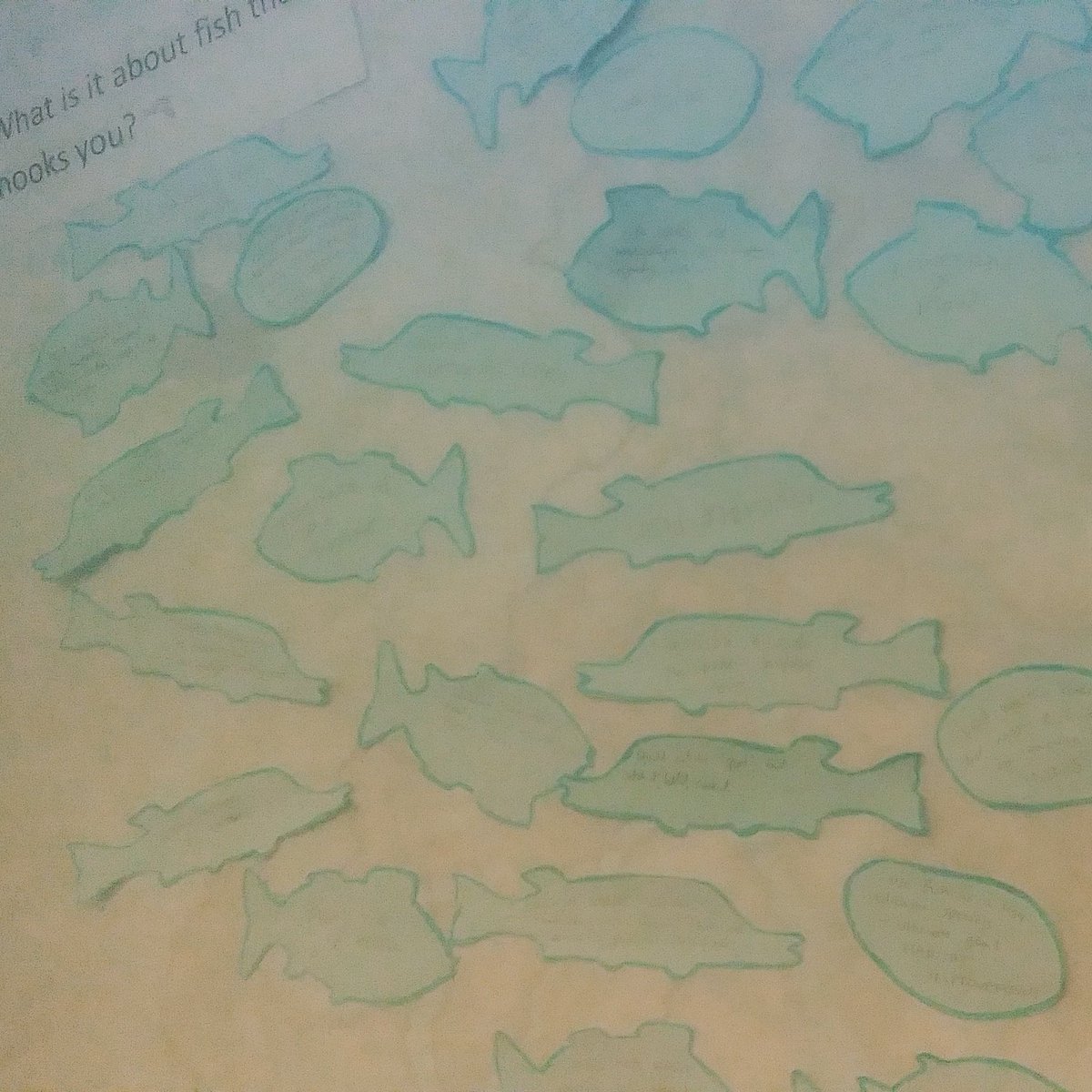 Countryside Trust tweet media