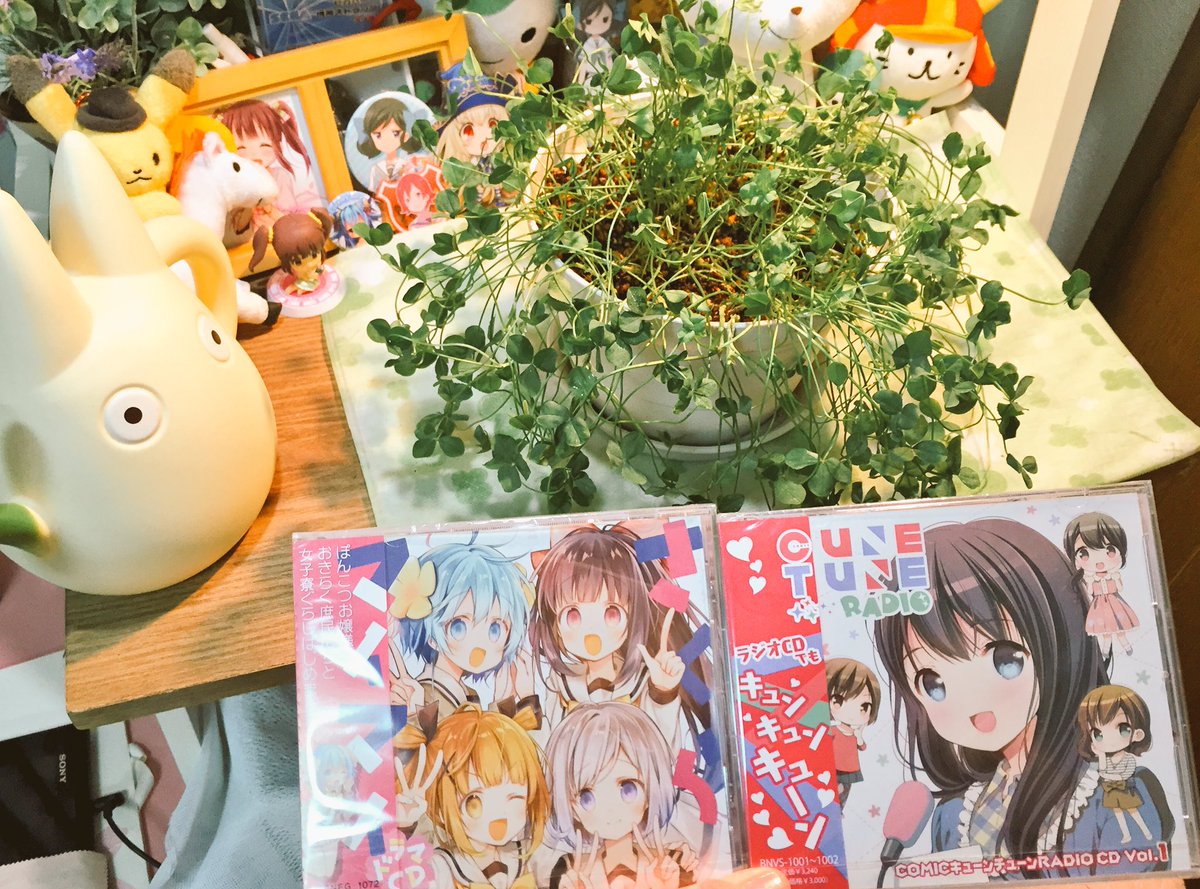 さくらマイマイ