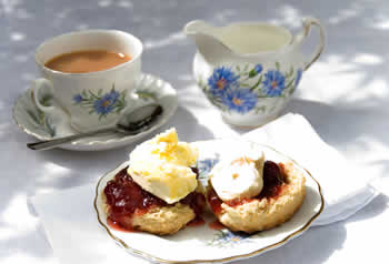 Tea and scones in the garden at Strathnaver Sun, 4 Sept, 10am – 4pm #TOD16 #WestCoast #Darling #TasteOfDarling