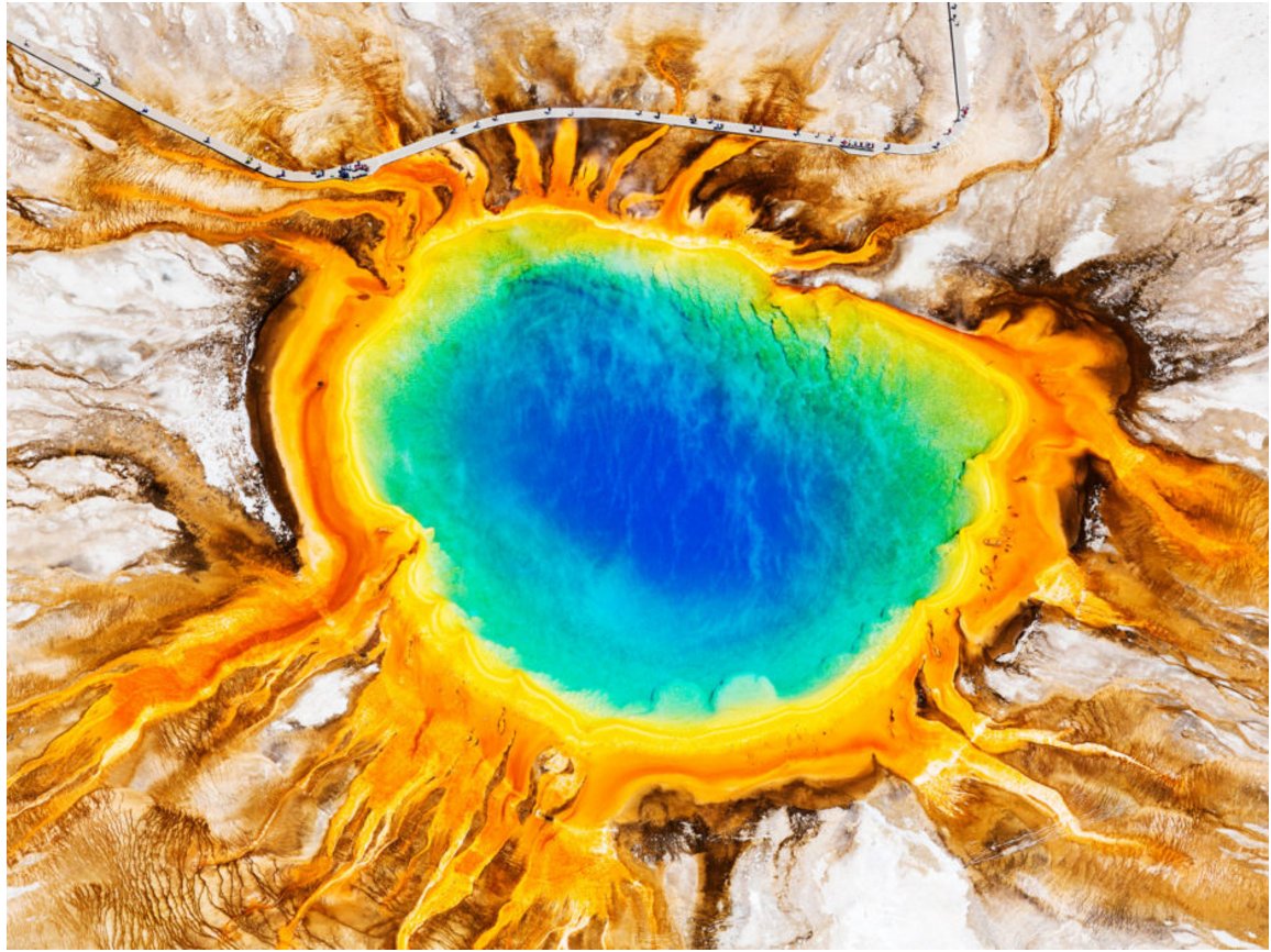 Snarling bears? Howling wolves? Check out archived sounds of Yellowstone. #digitalhistory 

wbur.fm/2bPM7mi