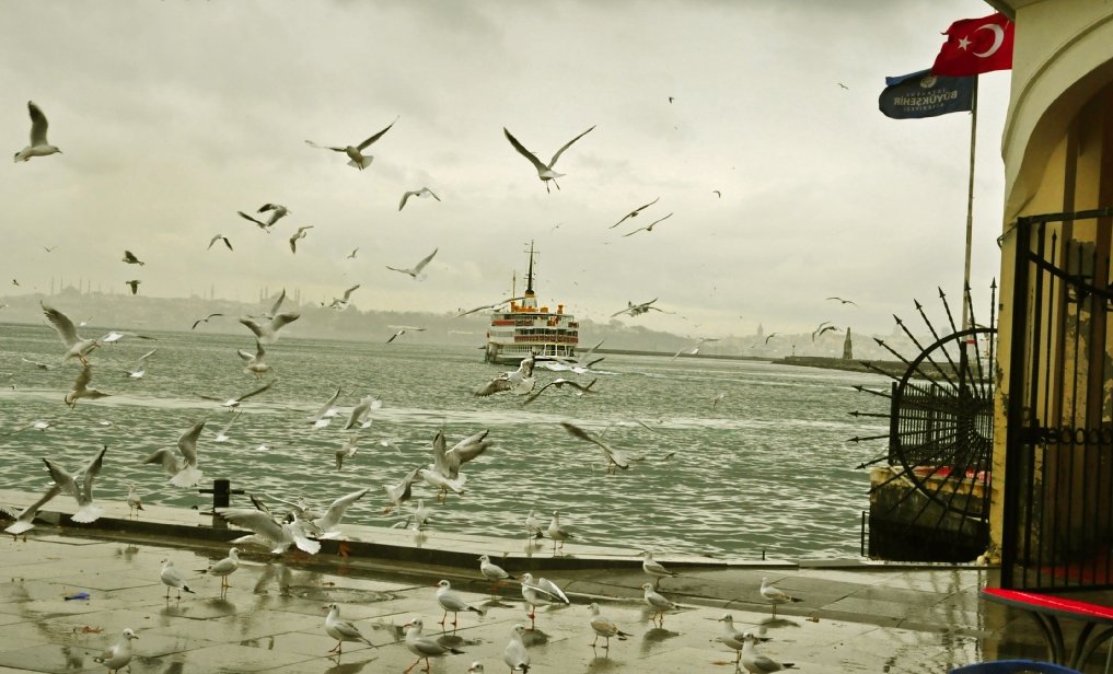 Kadıköy'de sonbahar.. #Kadıköy #Vapur #Sonbahar