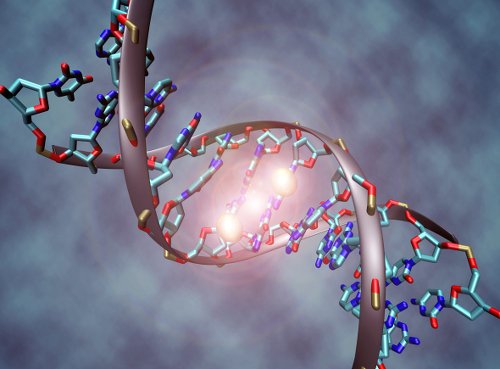 Genetics_LR's tweet photo. With cytidine deaminase, new #genomeedit method makes #pointmutations w/out cuts #TargetAID https://t.co/LyqPeTmvY9 https://t.co/jOtwfyULKS