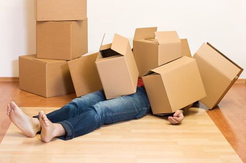 4FriendsMoving's tweet image. Moving Labor? Have no fear, 4 Friends Moving is here! #Moving #Packing #Storage #Florida #MovingHelp #4FriendsMoving