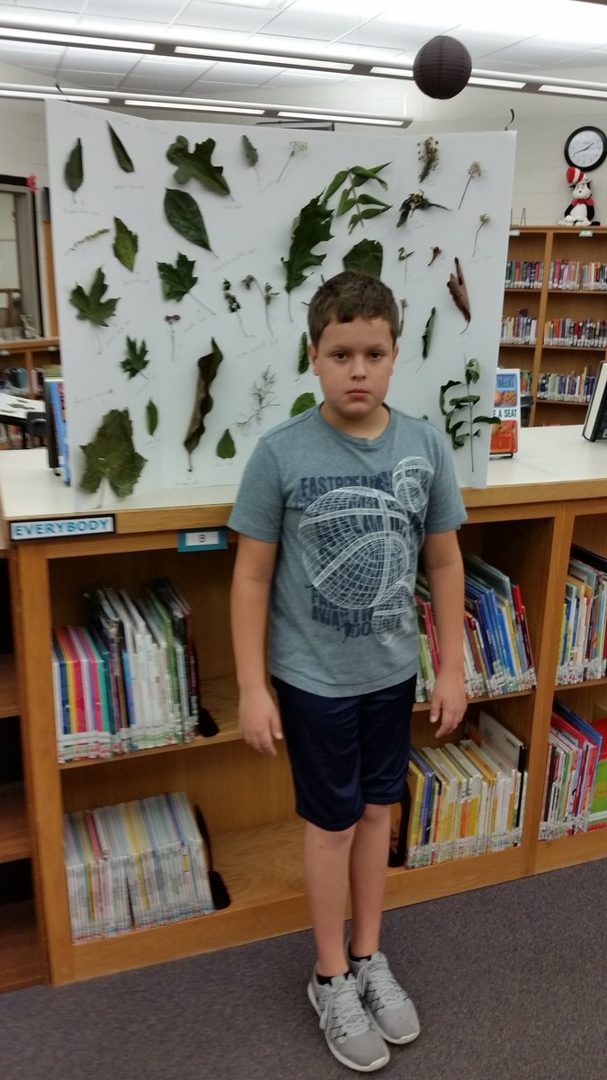Mrs. Pierce's leaf and wildflower project