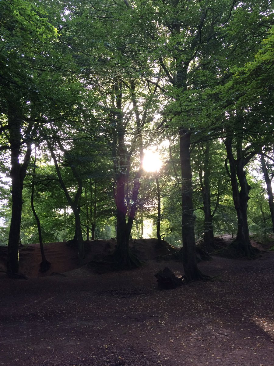 DevonDaze tweet media