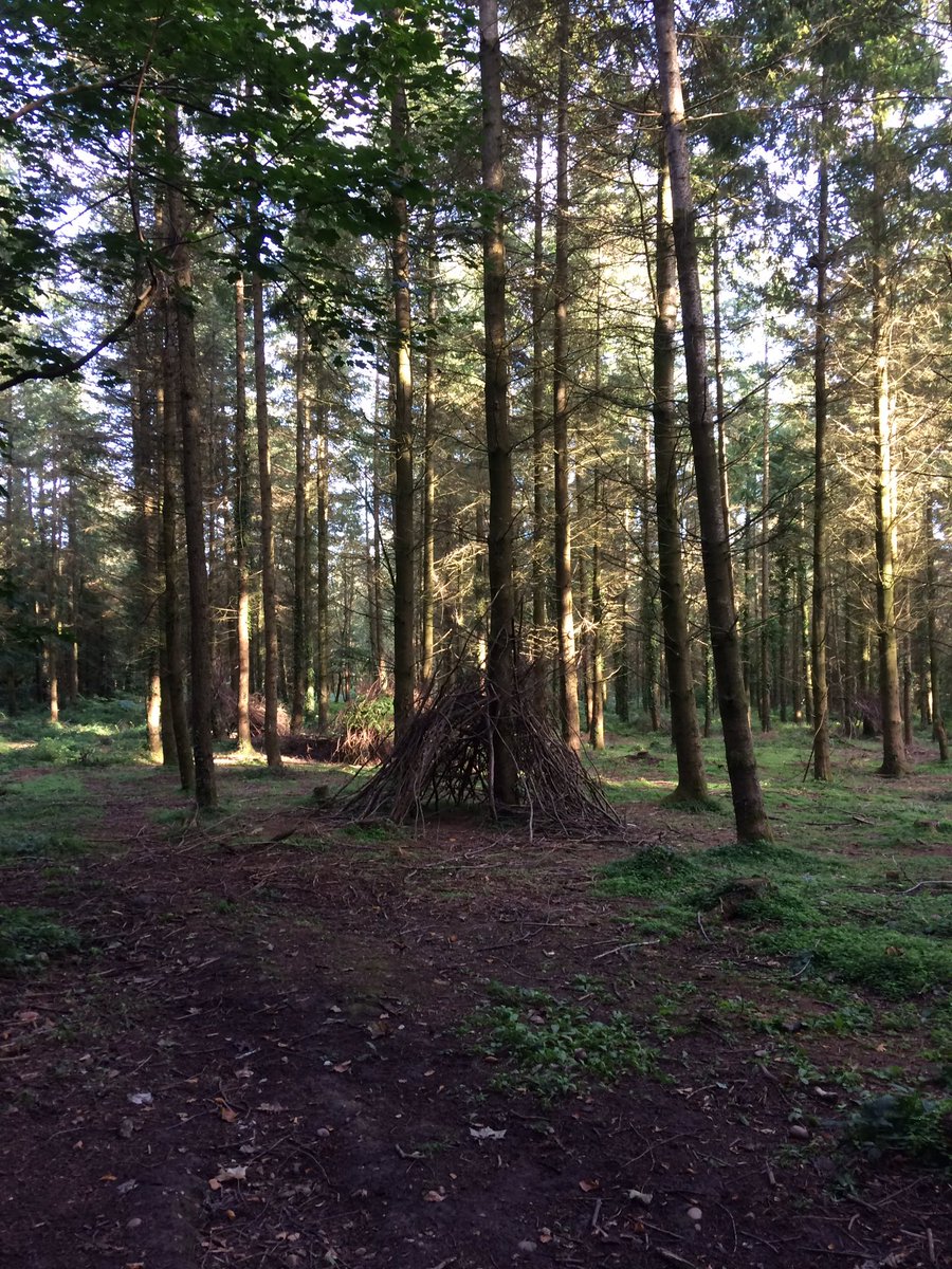 DevonDaze (@devondazeblog) on Twitter photo Fab time exploring #WoodburyCastle <a href="/PebblebedHeaths/">Pebblebed Heaths</a> @EastDevonAONB <a href="/Devon_LNP/">Devon_LNP</a> <a href="/DevonLife/">Devon Life</a> <a href="/VisitDevon/">Visit Devon</a> #devonhour Fab time exploring #WoodburyCastle <a href="/PebblebedHeaths/">Pebblebed Heaths</a> @EastDevonAONB <a href="/Devon_LNP/">Devon_LNP</a> <a href="/DevonLife/">Devon Life</a> <a href="/VisitDevon/">Visit Devon</a> #devonhour