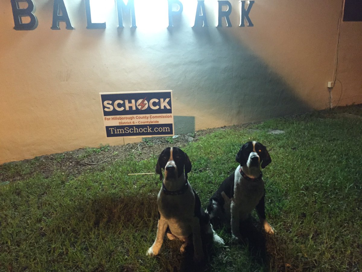Schock2016's tweet photo. Thanks to all of our amazing volunteers including these two who helped me in south #Hillsborough #Schock2016 https://t.co/jeGMTftpRk